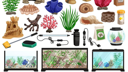 A Beginner's Guide to Setting Up a Tropical Fish Aquarium